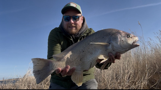 Freshwater Drum