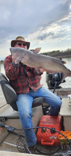 Channel Catfish