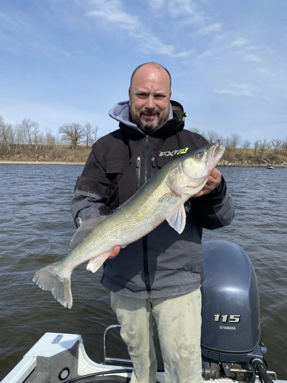 Walleye