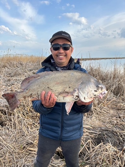 Freshwater Drum