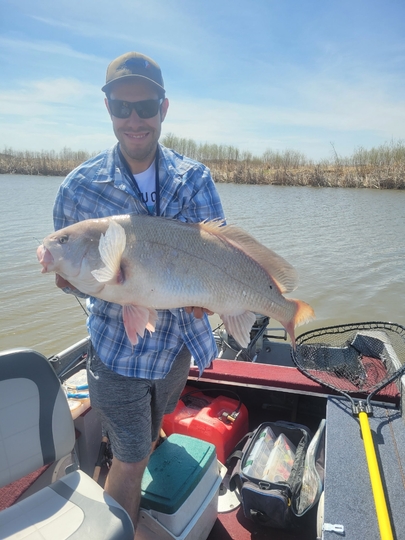 Freshwater Drum