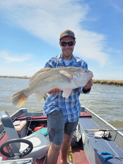 Freshwater Drum