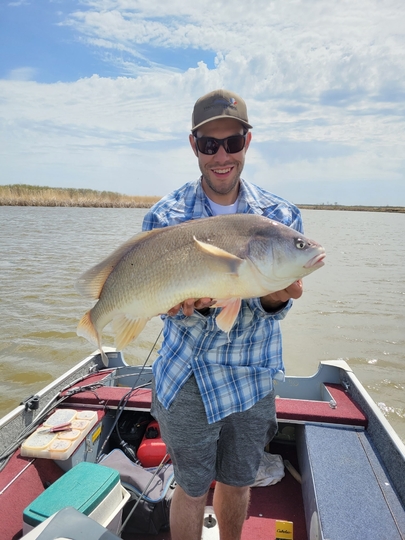 Freshwater Drum