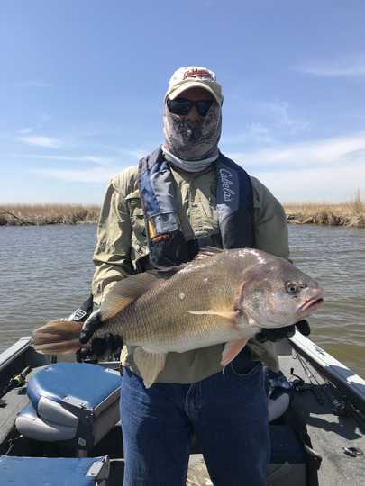 Freshwater Drum