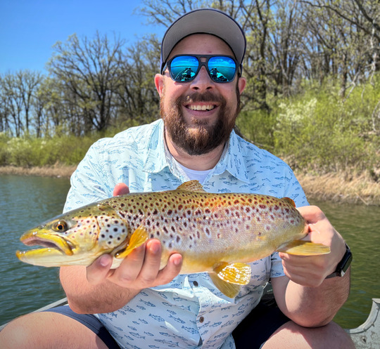 Brown Trout