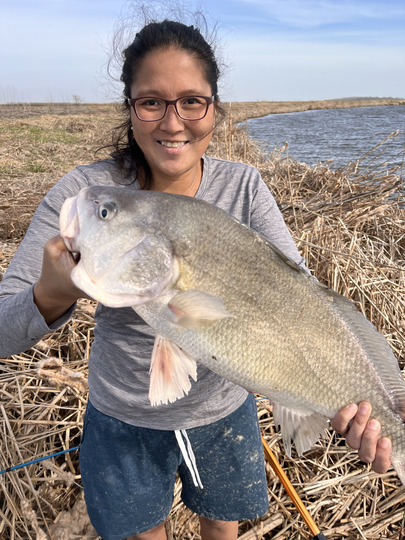 Freshwater Drum
