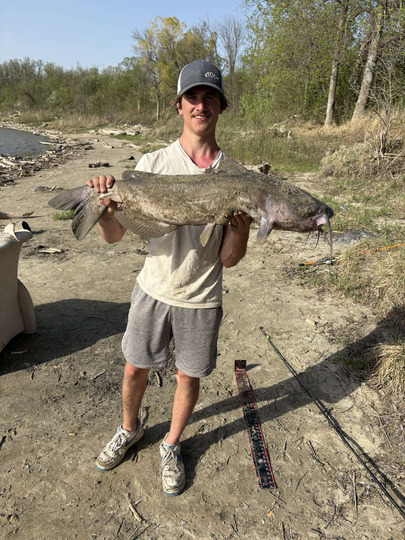 Channel Catfish