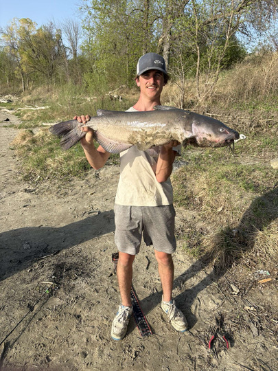 Channel Catfish