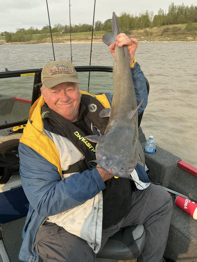Channel Catfish