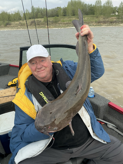Channel Catfish