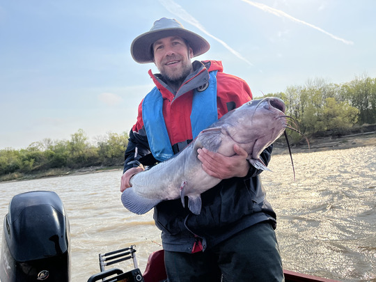 Channel Catfish