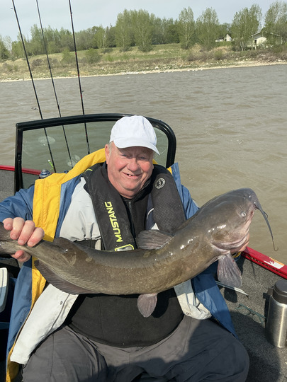 Channel Catfish
