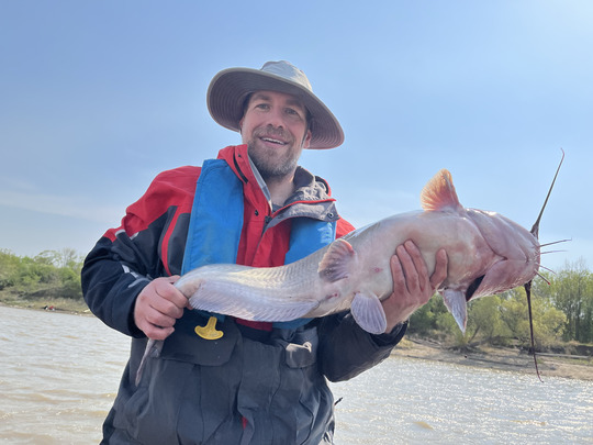 Channel Catfish