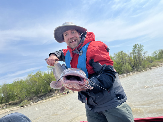 Channel Catfish