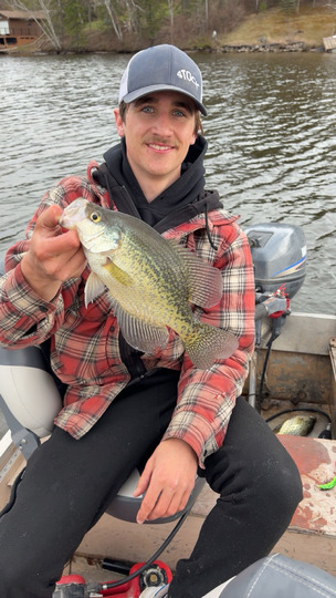 Black Crappie