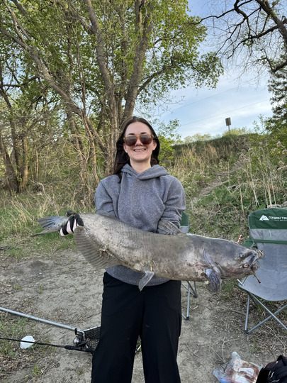 Channel Catfish