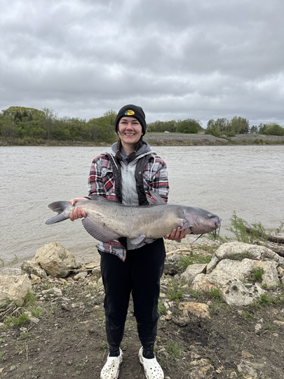 Channel Catfish