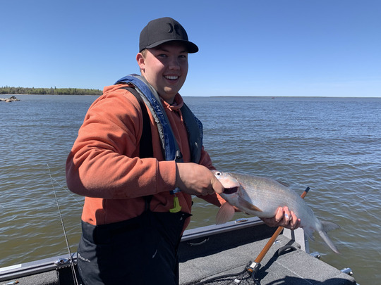 Lake Whitefish