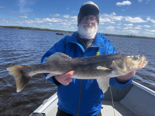 Walleye