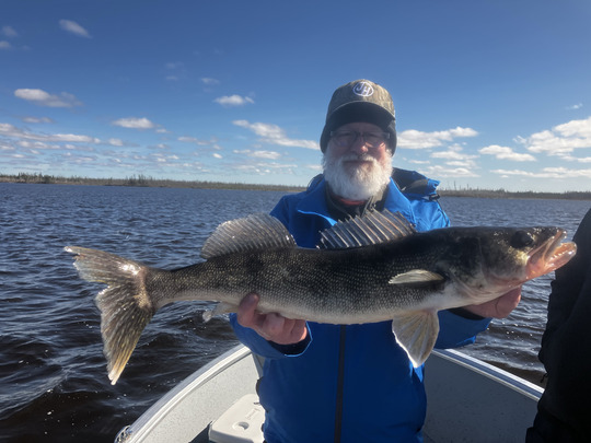 Walleye
