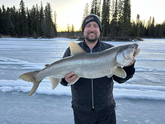 Lake Trout