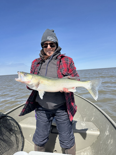 Walleye