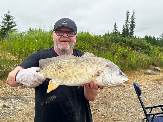 Freshwater Drum