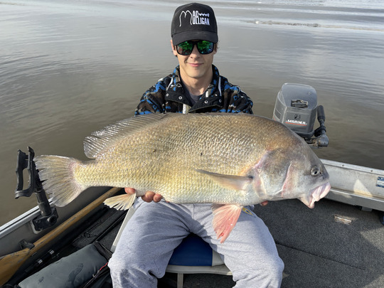 Freshwater Drum