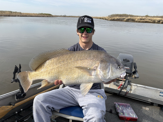 Freshwater Drum