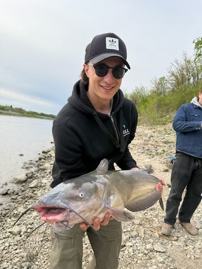 Channel Catfish