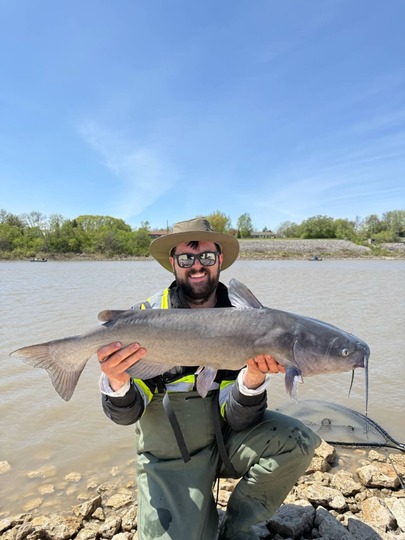 Channel Catfish