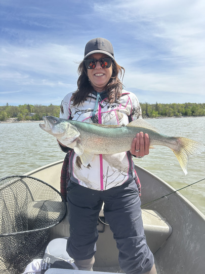 Walleye