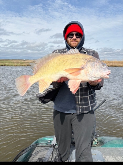 Freshwater Drum