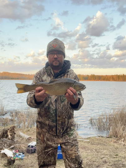 Tiger Trout