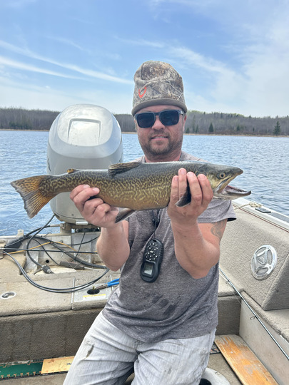Tiger Trout