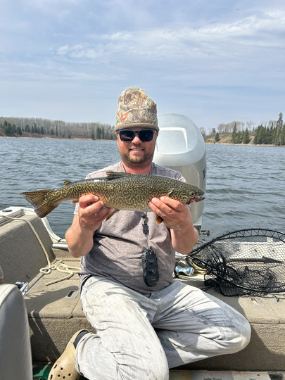 Tiger Trout
