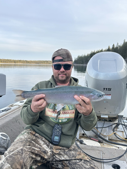 Rainbow Trout