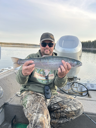 Rainbow Trout
