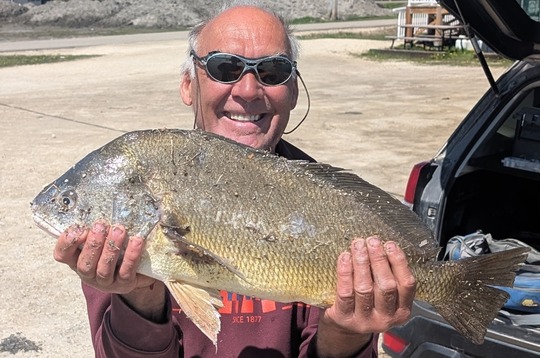 Freshwater Drum