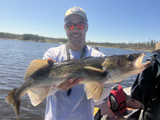 Walleye