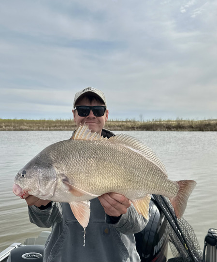Freshwater Drum