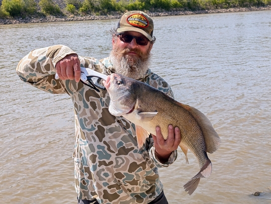 Freshwater Drum