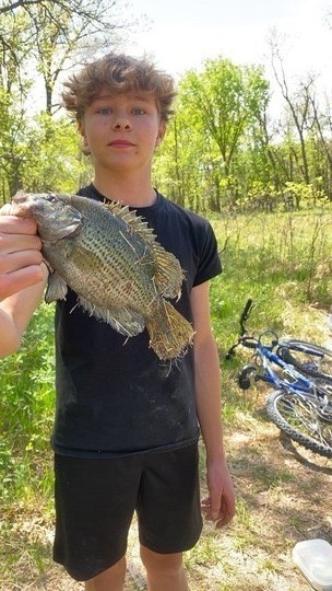 Rock Bass