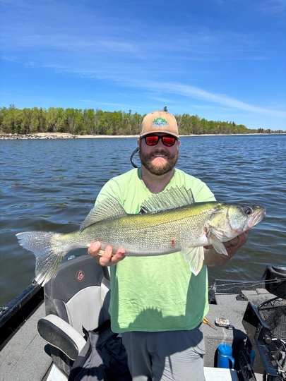 Walleye