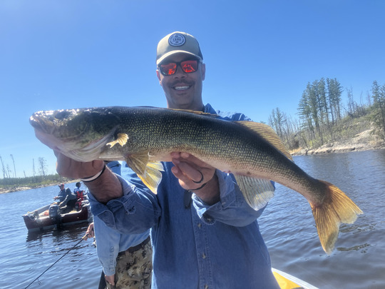 Walleye