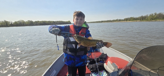 Bullhead