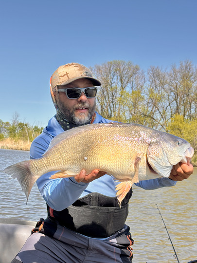 Freshwater Drum