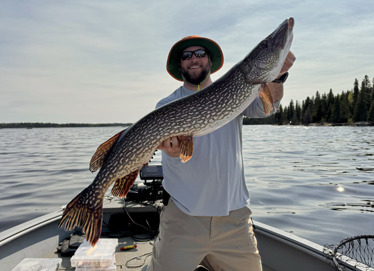 Northern Pike