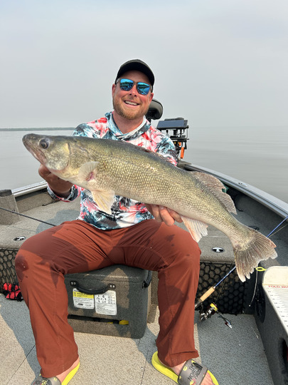 Walleye
