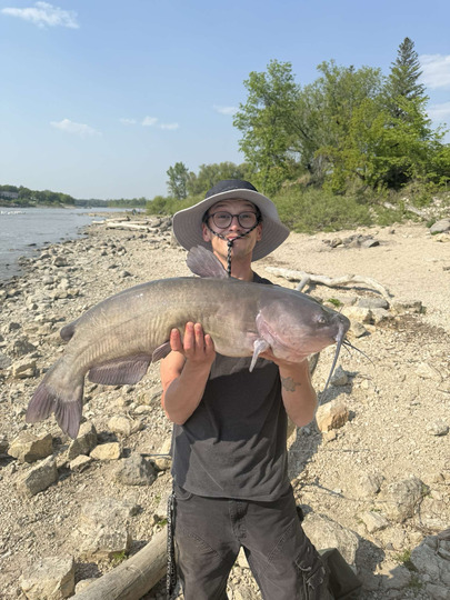 Channel Catfish